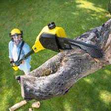 Lawn Drainage Solutions in Moorpark, CA